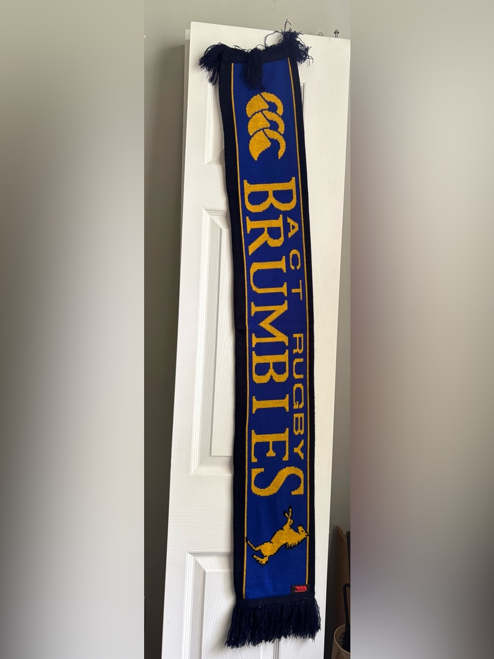 ACT BRUMBIES (Australian) Rugby Knit Scarf in Blue and Gold